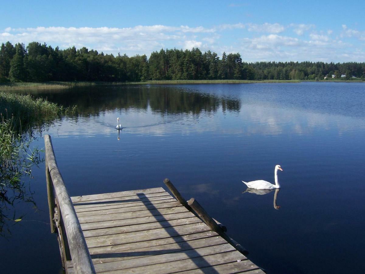 Domwigierski Pl -jeziorki -gr- Comfort-ferienhaus-polen - Wlasna Linia Brzegowa I Sauna Ferienhaus