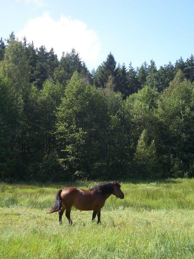 Ferienhaus Domwigierski Pl -jeziorki -gr- Comfort-ferienhaus-polen - Wlasna Linia Brzegowa I Sauna *